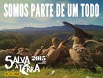 Salva a terra 2015.jpg