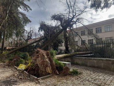 Castelo Branco Mau Tempo