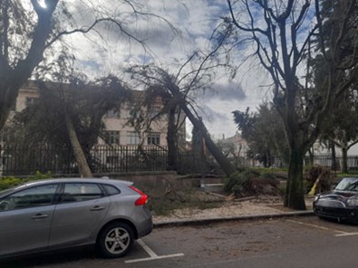 Castelo Branco Mau Tempo