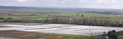 Idn agricultura.jpg